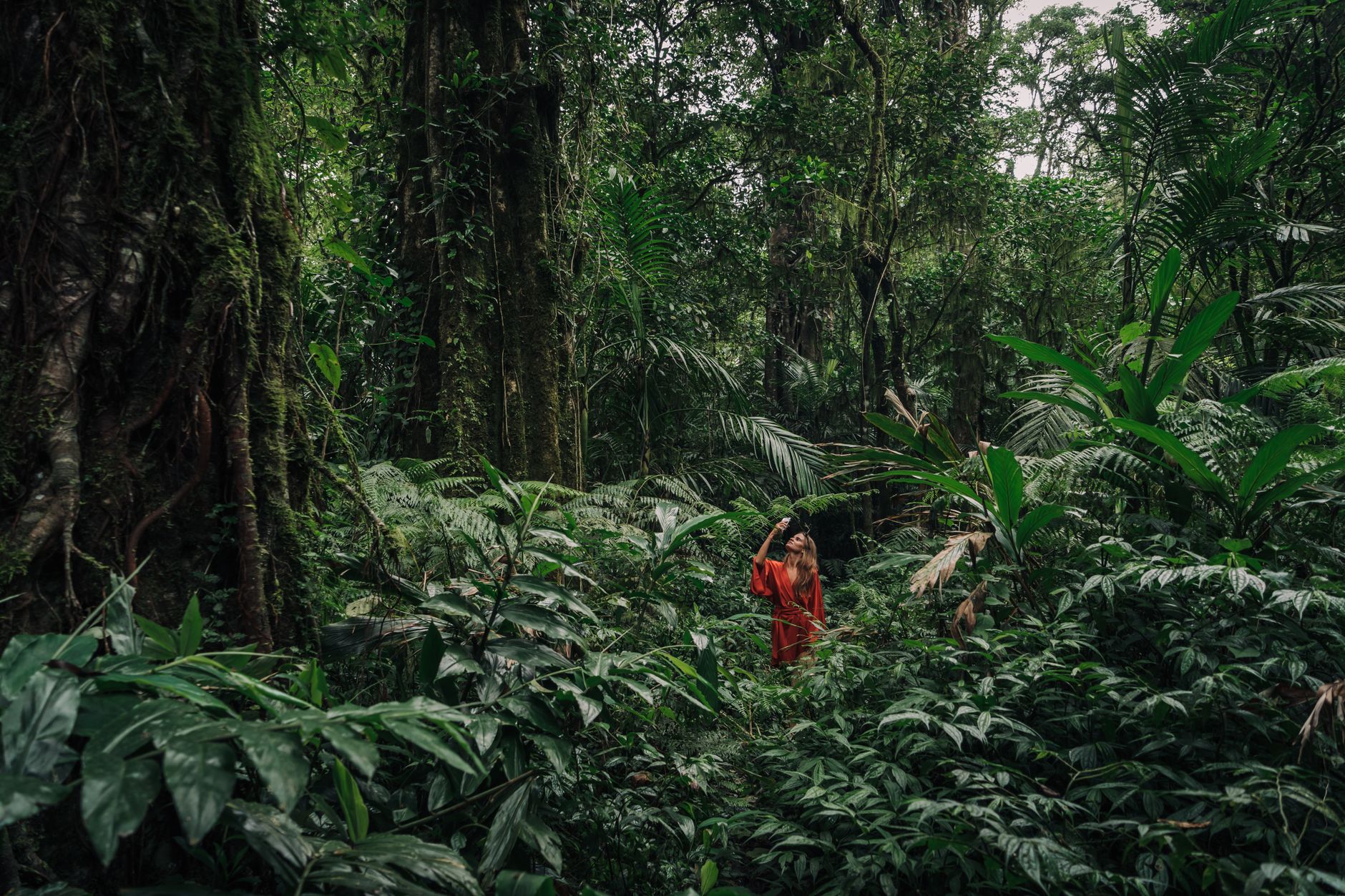 biodiversidade conceito e importancia