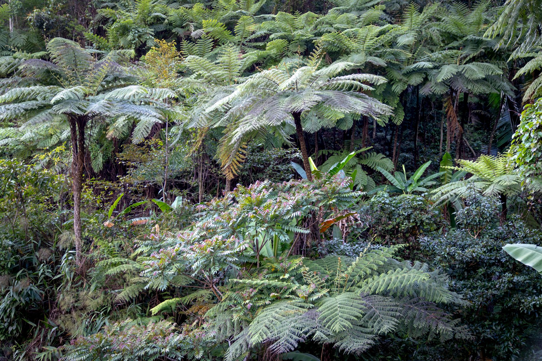 biodiversidade