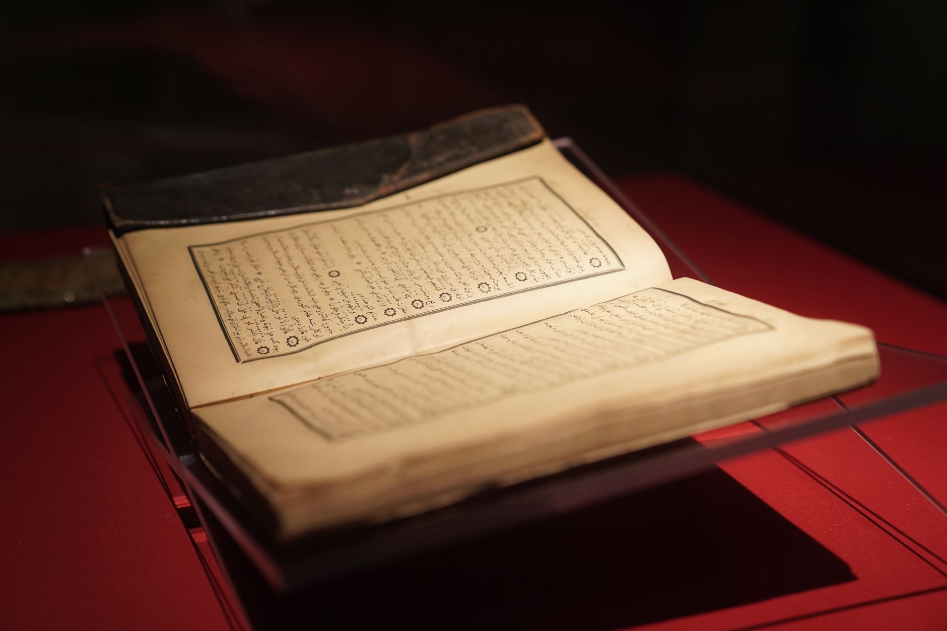 historia da humanidade