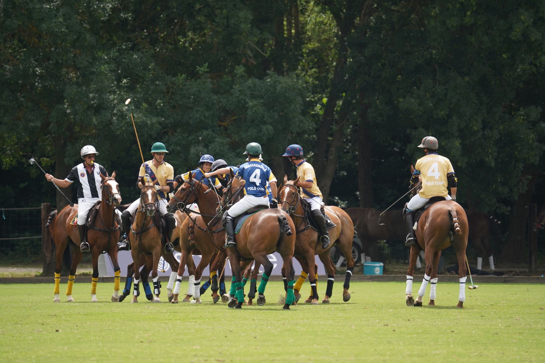 polo aquatico