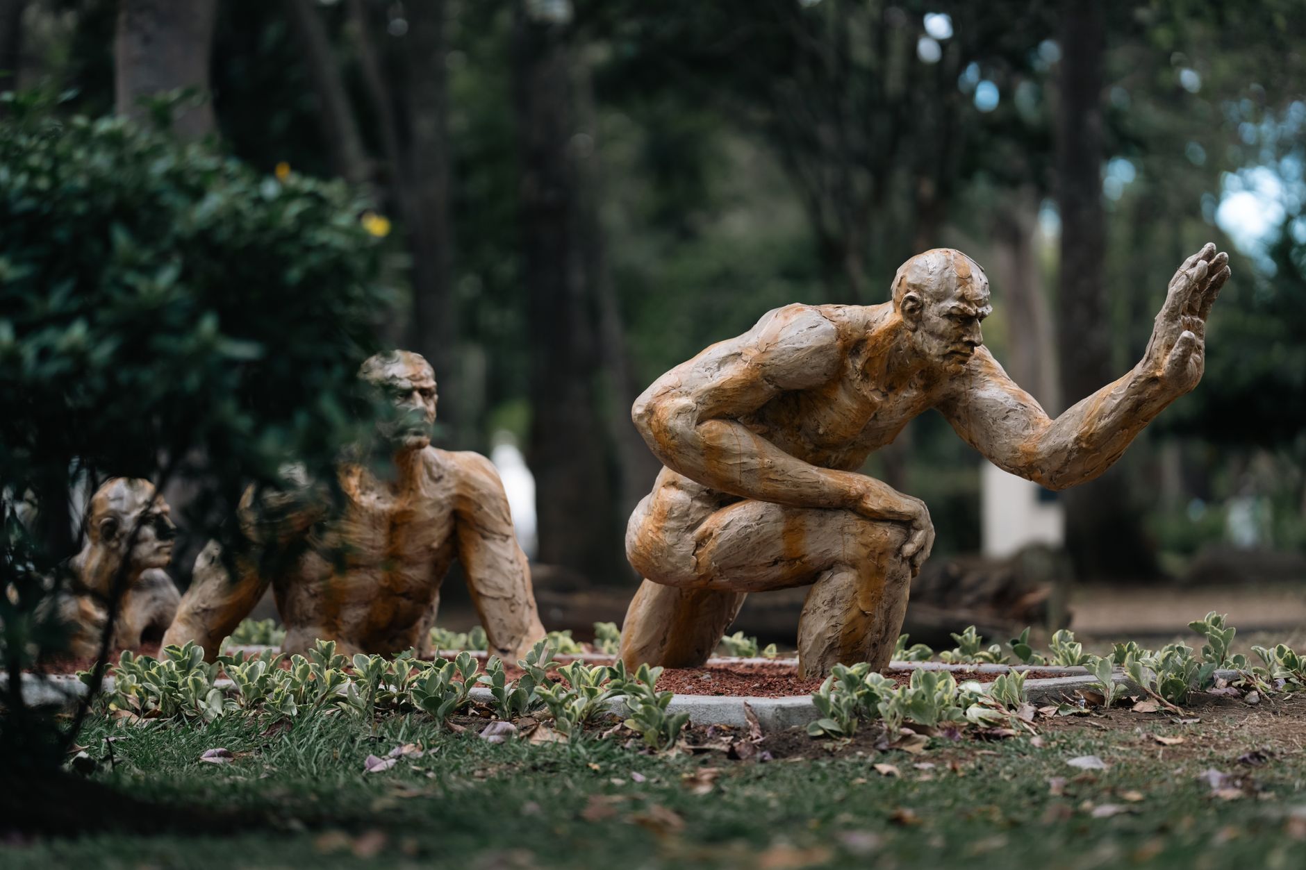 sociedade humana evolucao historica