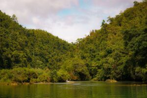 ecossistema conceito tipos componentes