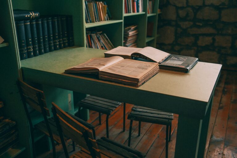 literatura conceito funcoes generos